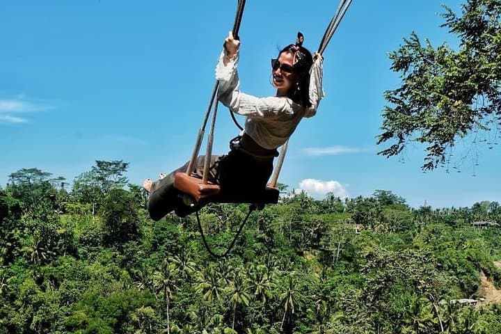 Ubud Rice Terraces, Monkey Forest & Coffee Plantation: A Practical Day Tour Guide photo 4