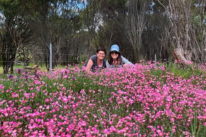 Perth Spring Wildflower Private Day Tour — Kings Park to Araluen Roadtrip photo 2