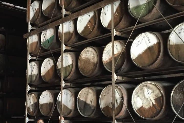 St Croix Island Tour: Christiansted Sights, Salt River Bay & Sion Farm Distillery photo 5