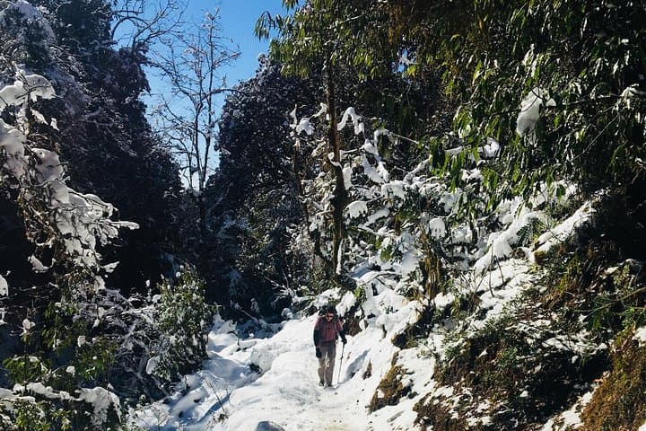 Poon Hill Trek: 5-Day Annapurna Sunrise Hike from Pokhara photo 6