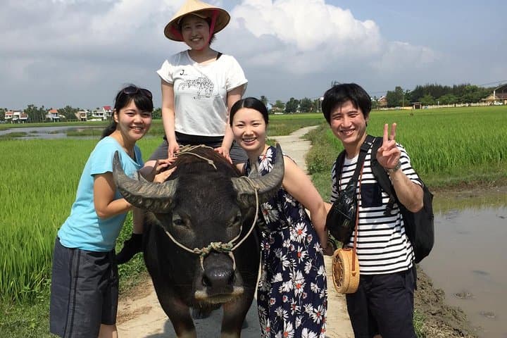 Hoi An Countryside Cycle, Buffalo Ride & Bamboo Basket Boat Experience photo 5
