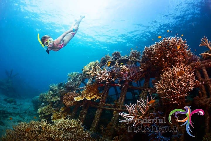 Day trip to Nusa Penida: Snorkel Kelingking & Broken Beach with Lunch