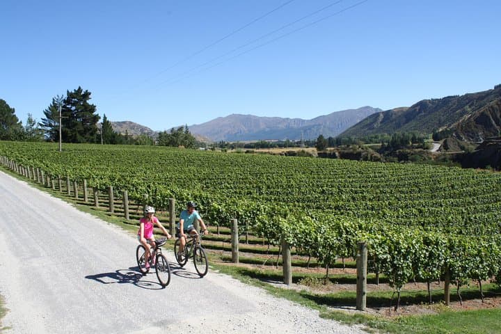 Bike the Wineries: Gibbston Valley Self-Guided Ride from Queenstown photo 5
