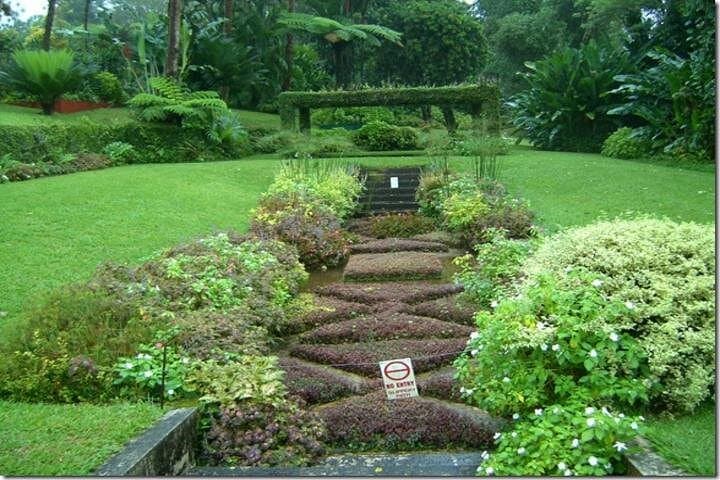 Montreal Gardens Tour: St. Vincent Botanical Garden & Mesopotamia Valley Drive photo 3
