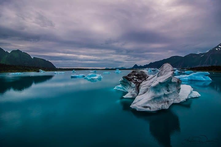 Helicopter Scenic Flight to Bear Glacier — 30-Minute Seward Aerial Tour photo 2
