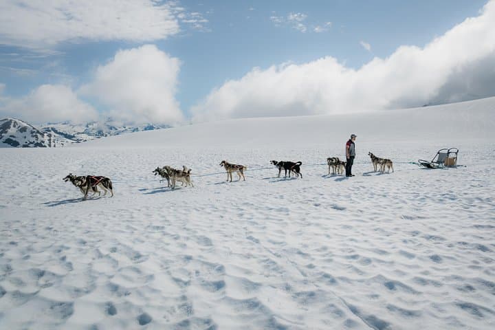 Helicopter Glacier & Dog Sledding on Godwin Glacier — Seward Day Flight photo 4
