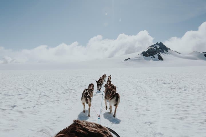 Helicopter Glacier & Dog Sledding on Godwin Glacier — Seward Day Flight photo 5