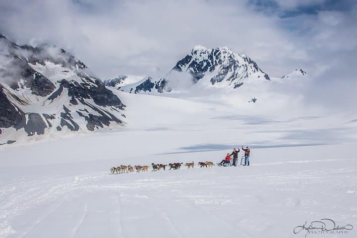 Helicopter Glacier & Dog Sledding on Godwin Glacier — Seward Day Flight