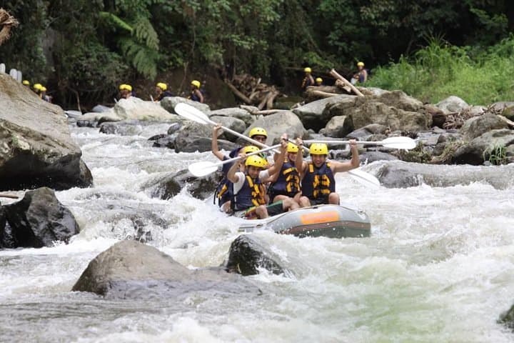 Ubud Ayung River Rafting: 3-Hour Whitewater Adventure with Lunch & Transfers photo 5