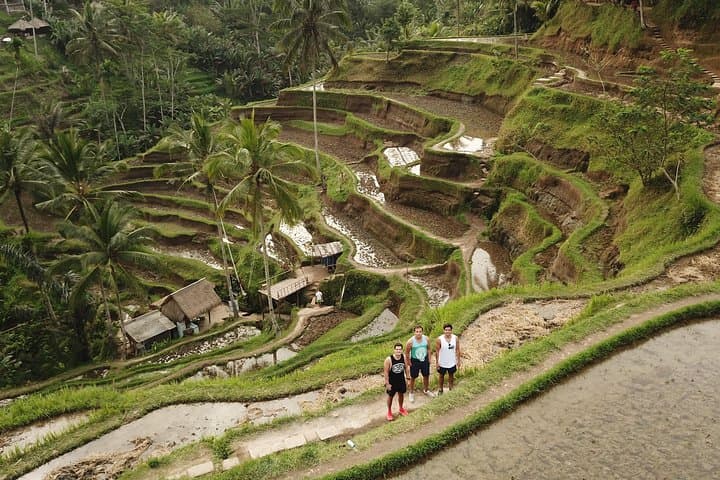 Private Bali Volcano and Jungle Swing Day Tour from Ubud photo 5