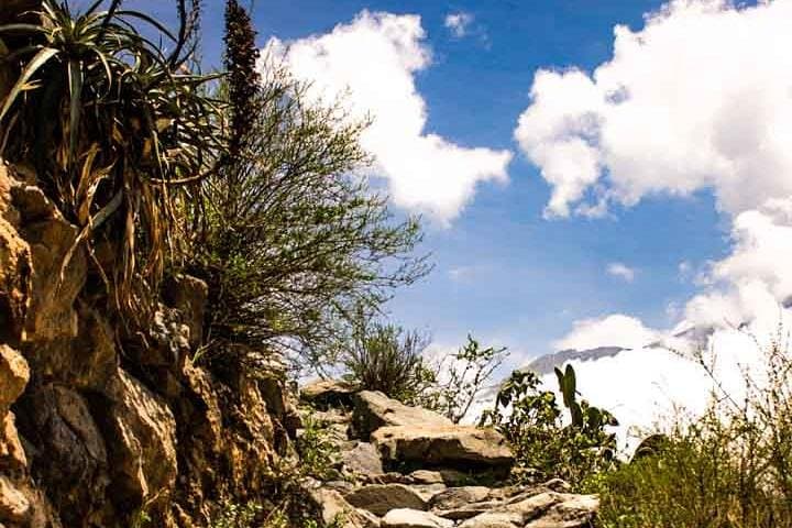 Three-Day Colca Canyon Trek: Cabanaconde to Sangalle Oasis photo 5