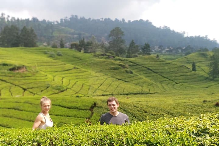 Kawah Putih Day Trip: Crater Lakes, Tea Plantations & Hot Springs from Bandung photo 2