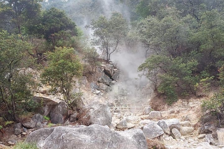 Kawah Putih Day Trip: Crater Lakes, Tea Plantations & Hot Springs from Bandung photo 3