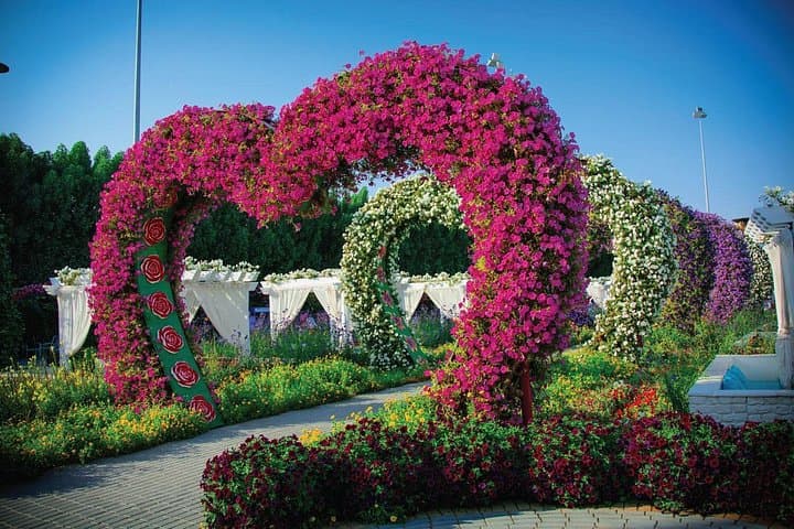 Dubai Miracle Garden & Butterfly Garden: Winter Flora and Butterfly Tour photo 1