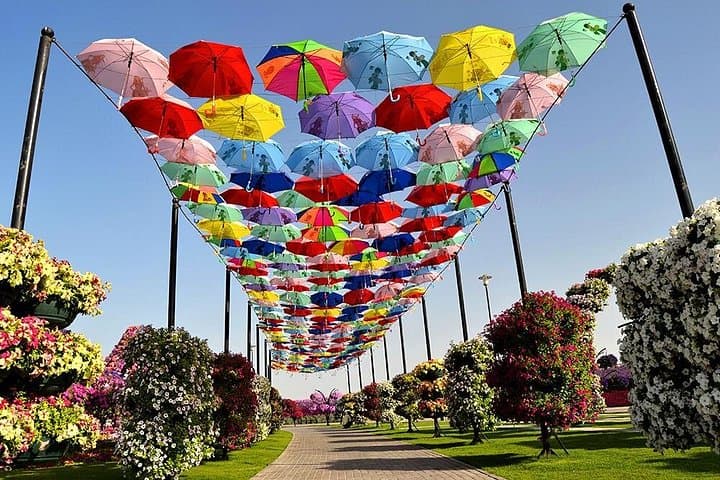 Dubai Miracle Garden & Butterfly Garden: Winter Flora and Butterfly Tour photo 4