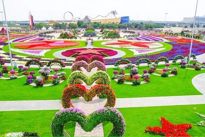 Dubai Miracle Garden & Butterfly Garden: Winter Flora and Butterfly Tour photo 3