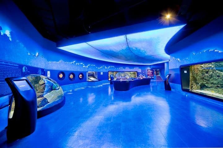 Istanbul Aquarium & Aqua Florya: 5-Hour Marine Immersion and Mall Escape photo 3