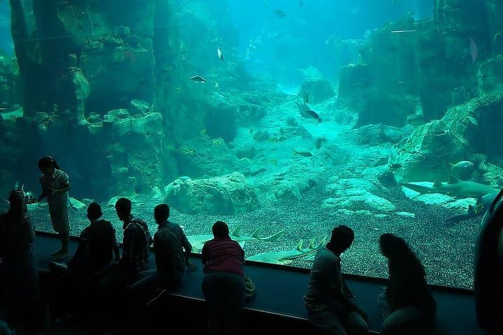 Istanbul Aquarium & Aqua Florya: 5-Hour Marine Immersion and Mall Escape photo 2