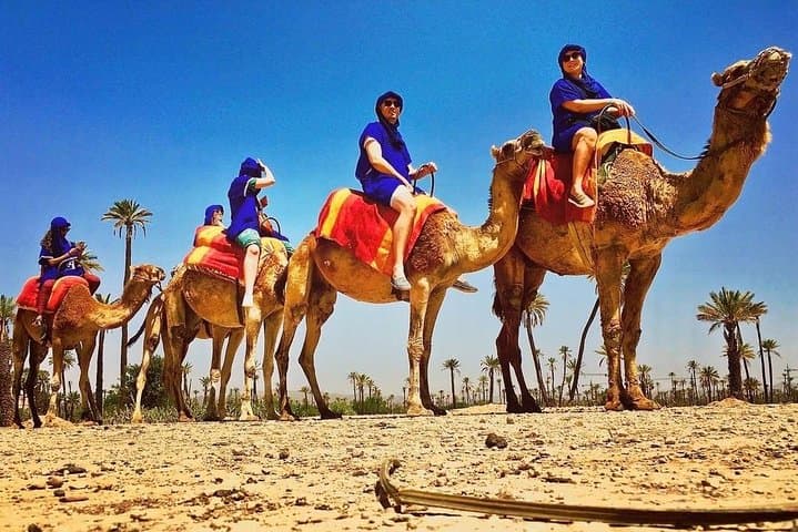 ATV Quad and Camel Ride in Marrakech Palmgrove — Palmeraie Adventure photo 3
