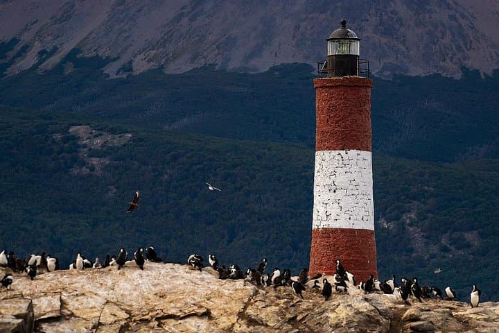 Beagle Channel Mini-Trekking from Ushuaia: Lighthouse, Sea Lions & Birdlife photo 2
