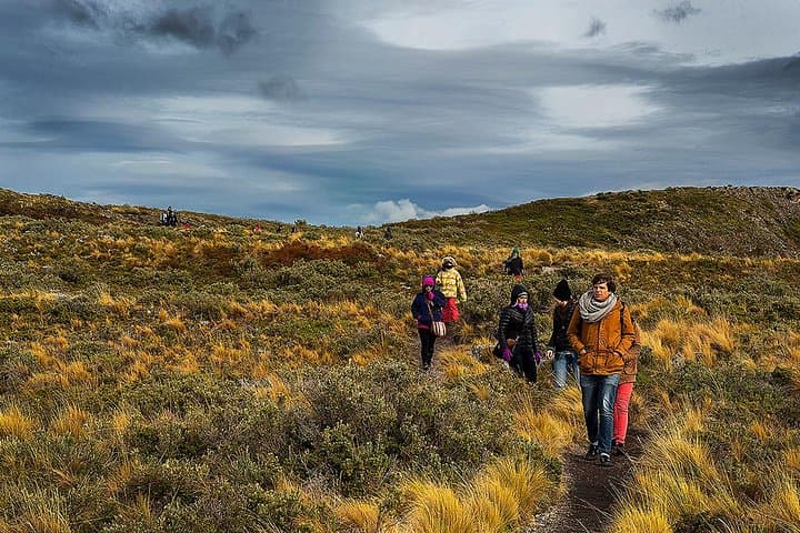 Beagle Channel Mini-Trekking from Ushuaia: Lighthouse, Sea Lions & Birdlife photo 3