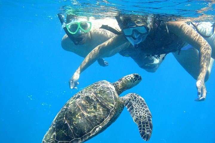 Snorkel Port Ghalib & Marsa Mubarak: Red Sea Day Trip from Marsa Alam photo 1