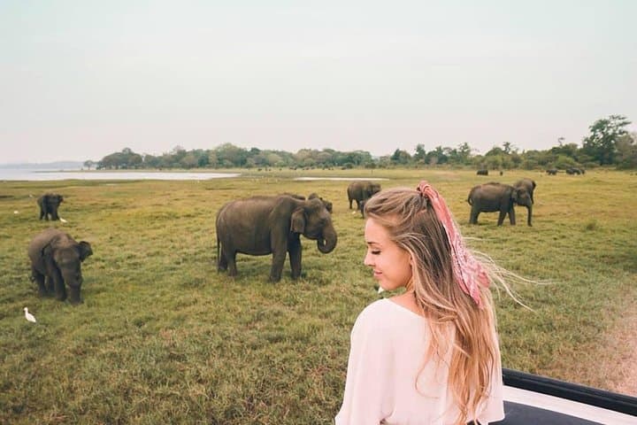 7-Day Sri Lanka Instagram Trail: Sigiriya, Kandy, Tea Country & Mirissa photo 6