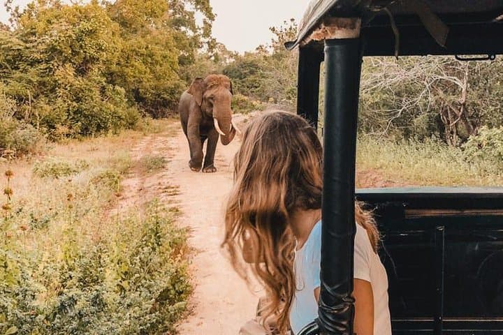 7-Day Sri Lanka Instagram Trail: Sigiriya, Kandy, Tea Country & Mirissa photo 2