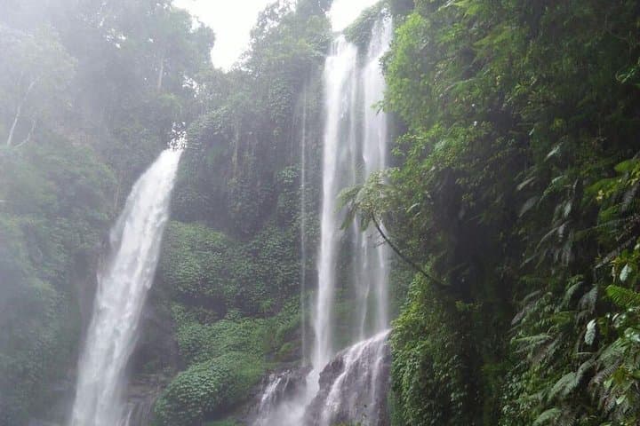 Sekumpul and Aling-Aling Waterfalls: North Bali's Twin-Adrenaline Waterfall Adventure photo 2