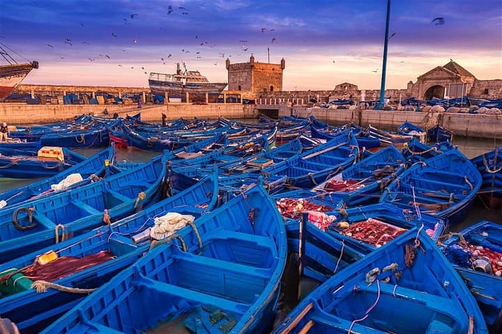 Essaouira Day Trip from Marrakech — Argan Forests, Goat Trees & Atlantic Seafood