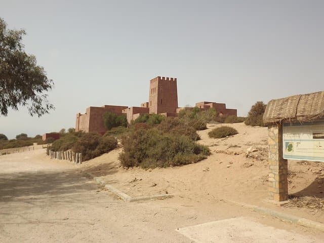 Agadir to Massa: 4x4 Dune Ride, Wild Beaches & Massa National Park Day Trip photo 6