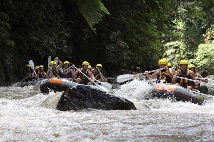 Ubud Ayung River Rafting: 3-Hour Whitewater Adventure with Lunch & Transfers photo 4