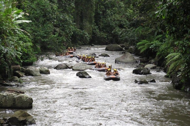 Ubud Ayung River Rafting: 3-Hour Whitewater Adventure with Lunch & Transfers photo 6
