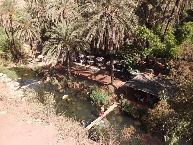 Paradise Valley Half-Day from Agadir: Hike, Swim & Argan Grove Stops photo 5