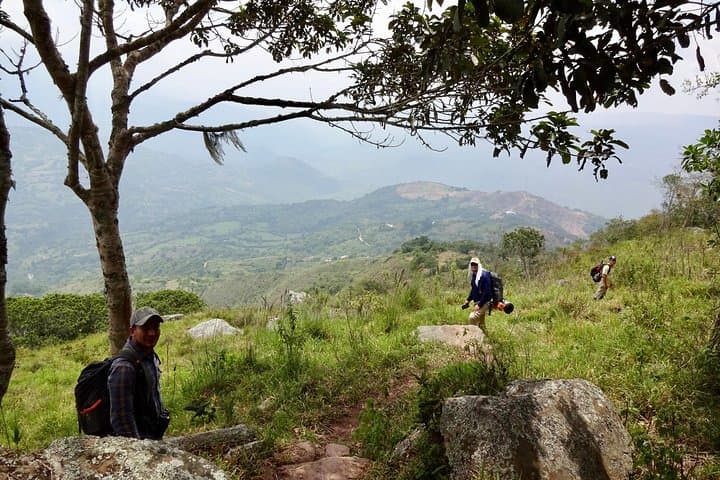 Trekking and Camping in Serranía La Uchata — Yariguíes Andes Adventure photo 5