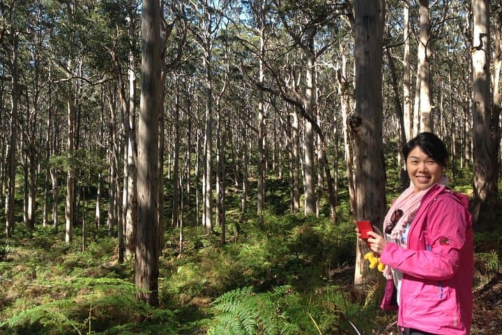 Cape to Cape 4-Day Bespoke Walking Adventure in Margaret River photo 3