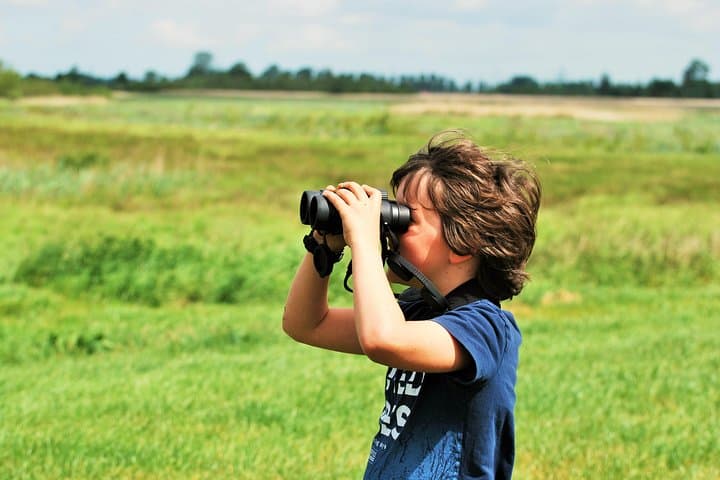Hoge Veluwe National Park & Kröller-Müller Day Trip from Amsterdam photo 6