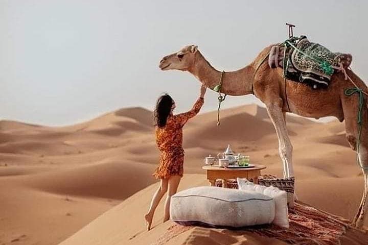 Overnight Desert Trip From Fez to Erg Chebbi — 2-Day Merzouga Camel Trek & Berber Camp photo 1