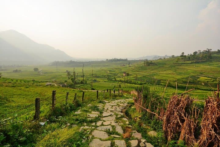 Phulchwoki Hill Day Hike — Birding, Views & Godawari Trails