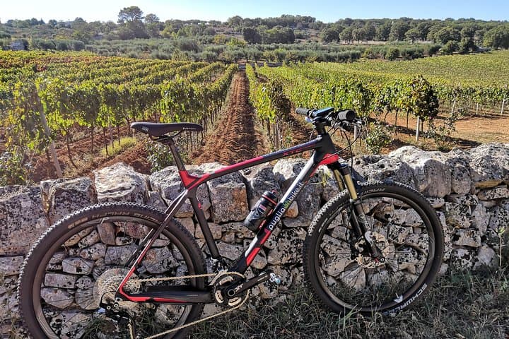 E-bike Through Itria Valley: Alberobello, Locorotondo & Vineyard Wine Tasting photo 4