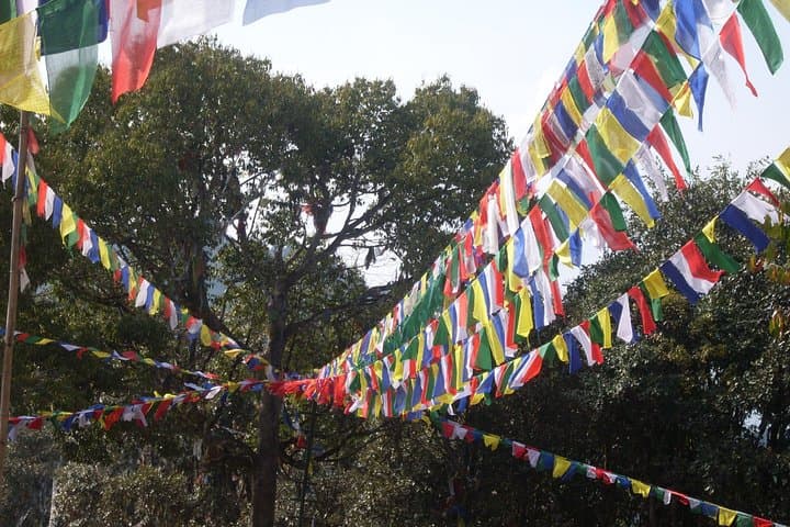 Jamacho Monastery Day Hike: Nagarjun Hill Trek from Kathmandu photo 3