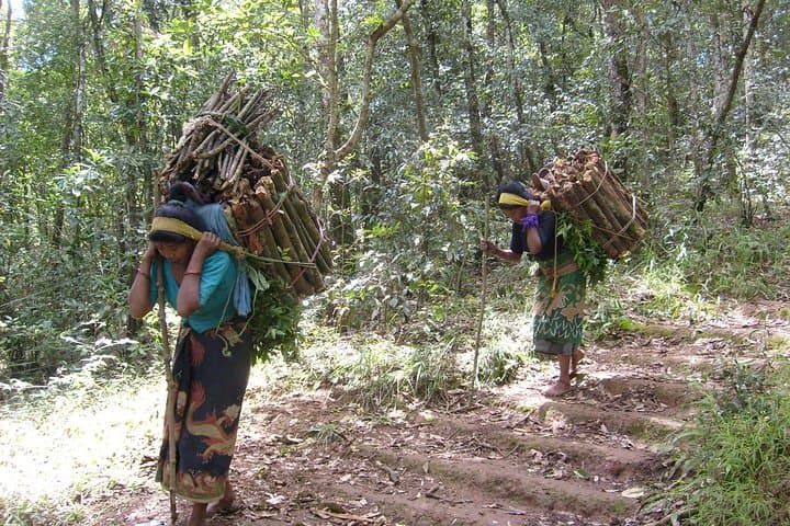Jamacho Monastery Day Hike: Nagarjun Hill Trek from Kathmandu photo 4