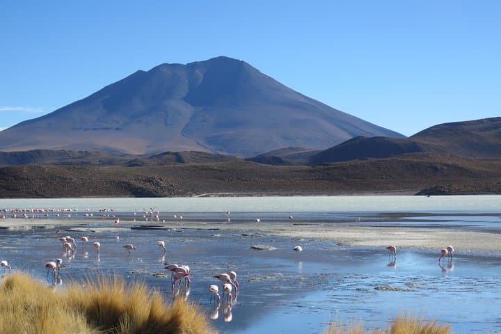 3-Day Salar de Uyuni and Colored Lagoons Tour from Uyuni photo 5