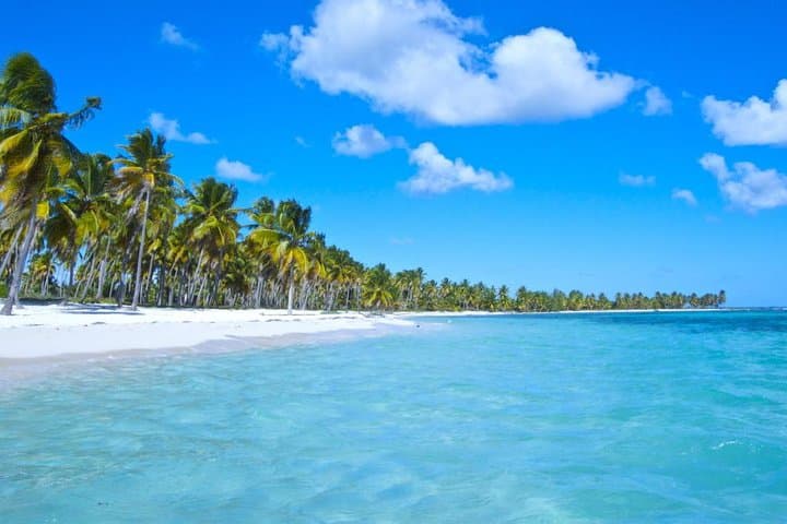Saona Island Full-Day: Speedboat & Catamaran Excursion from Punta Cana & Bayahibe photo 4