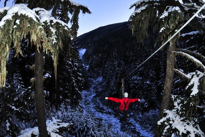 Whistler Winter Dusk Zipline — 2-Hour Evening Canopy Adventure photo 2