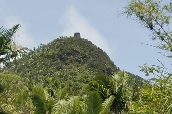 El Yunque Full-Day Private Rainforest Hike — Yokahu Tower & La Coca Falls photo 5