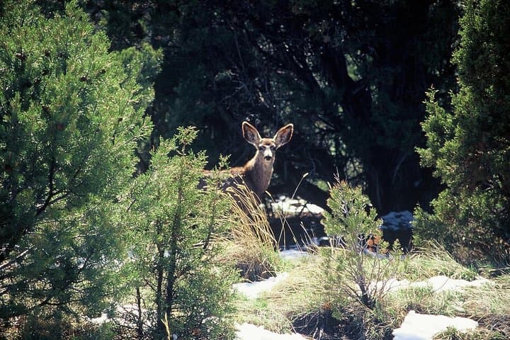 Exploring Sedona’s Iconic Red Rocks: A Private On-Road Jeep Tour Experience photo 5