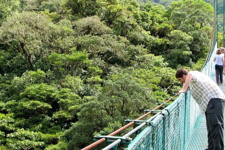 Walk the Monteverde Hanging Bridges: Cloud-Forest Canopy Walk in Costa Rica photo 5