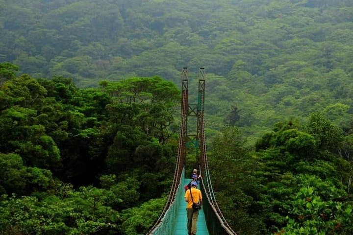 Walk the Monteverde Hanging Bridges: Cloud-Forest Canopy Walk in Costa Rica