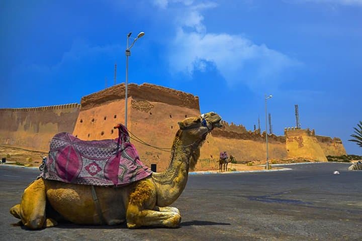 Agadir City Tour: Kasbah Views, Souk El Had & Argan Oil Cooperative photo 3